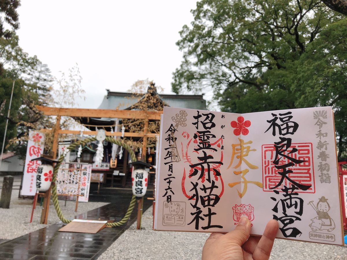 大分県の御朱印がもらえる神社 九州御朱印巡り